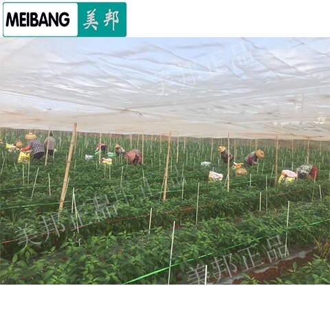 东莞市立柱 空心管苗木辣椒花卉立杆扶持杆苗木厂家批发定制