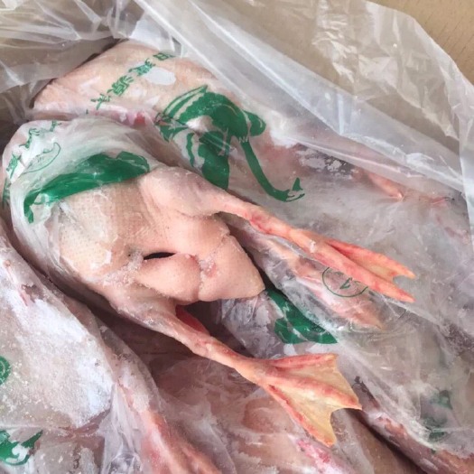 郑州 要长寿吃鹅肉！要健康喝鹅烫！铁锅大鹅健康小生活……[色][色