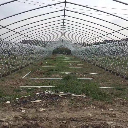 聊城 塑料膜，降解地膜，黑地膜，