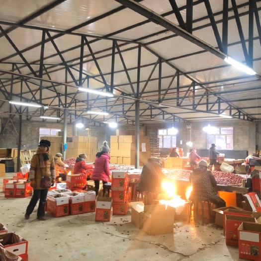 阿拉尔市新疆大枣 新疆阿拉尔兵团直供，内地有仓库直发，寻求合作，诚意私聊。