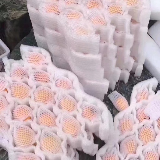 云霄县 云霄枇杷 枇杷之乡