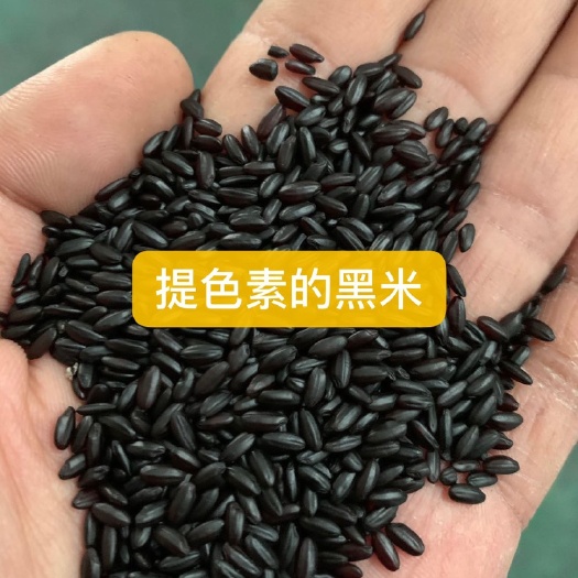 石家庄珍珠米  优中选优