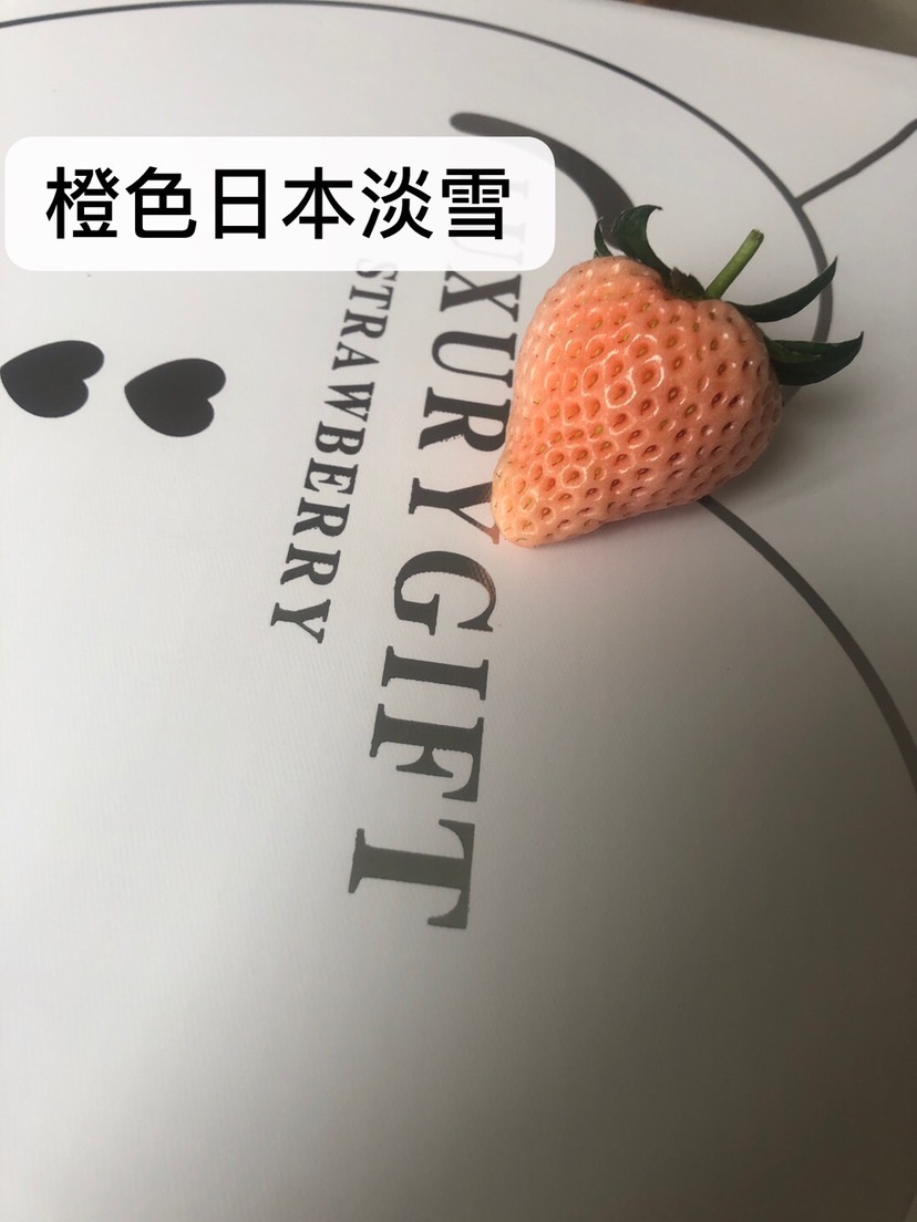淡雪草莓