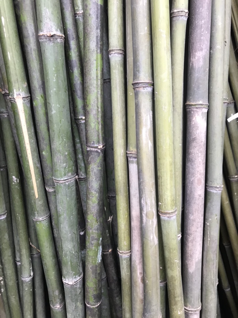 桂阳县各种规格【小竹竿】3米内都可定制满1000捆送200根