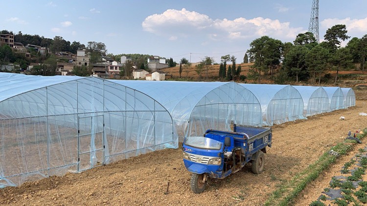 单体棚 成套单体温室大棚家用连体蔬菜种植养殖大棚骨架养鸡椭圆钢管大棚