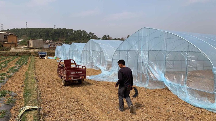 单体棚 成套单体温室大棚家用连体蔬菜种植养殖大棚骨架养鸡椭圆钢管大棚