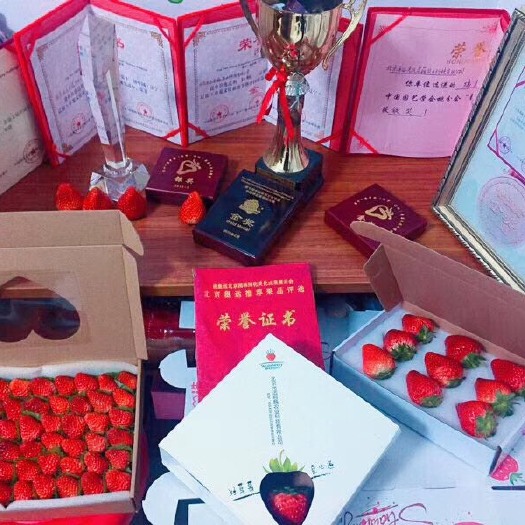 北京好草莓，良心造，有机草莓，健康美味，云若内心