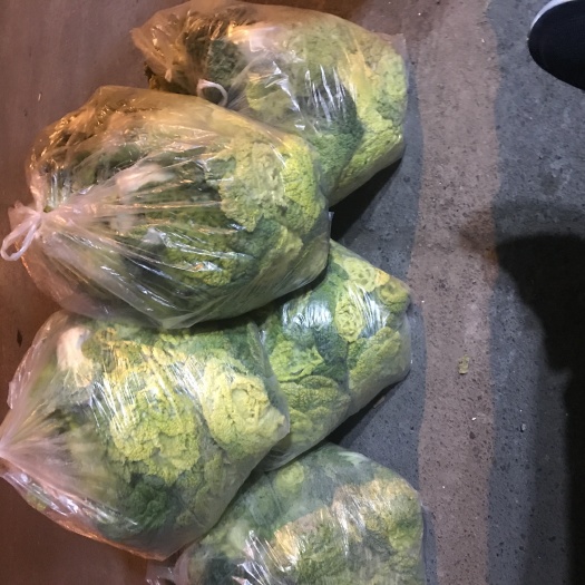 北京黄心乌 现货在北京新发地、因借朋友的物流车要上线.现低价出售，