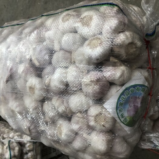 扬州邳州大蒜 5.5-6.0cm 多瓣蒜