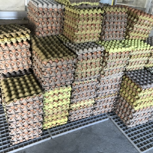 霍邱县土鸡蛋 食用 箱装
