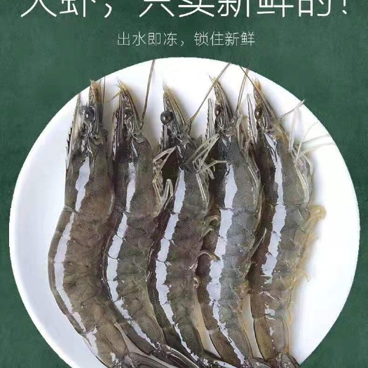 海麻虾  国内2海捕整箱大虾鲜活冻虾海鲜水产基围虾白虾青虾4斤包邮