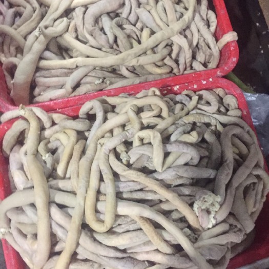 广州牛肠（七成熟）