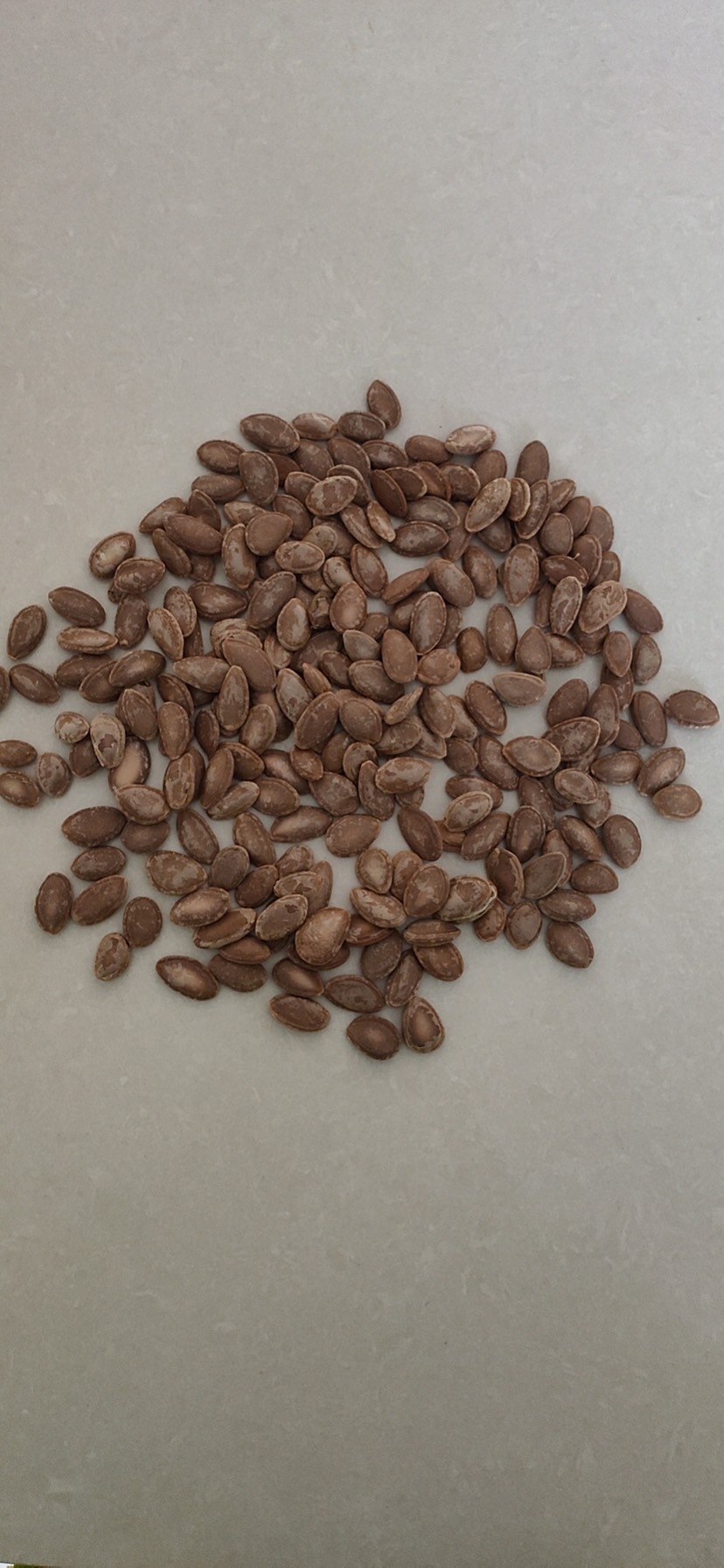 瓜蒌籽 皮薄肉厚 质量顶呱呱