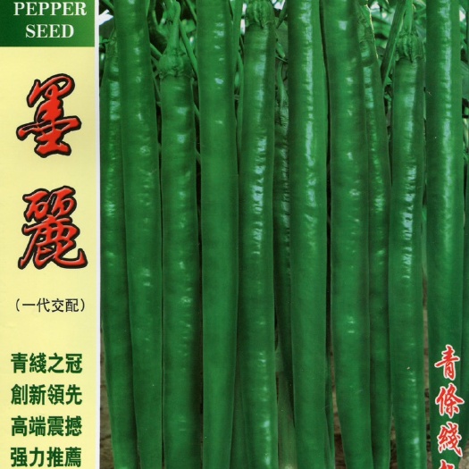 昆明青条线椒种子硬皮线椒种子二荆条种子