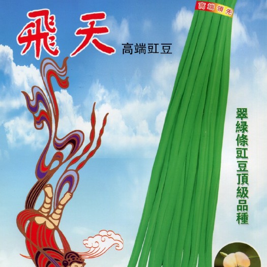 翠绿色长豇豆种子豆角种无鼠尾颜色绿厚肉不鼓籽