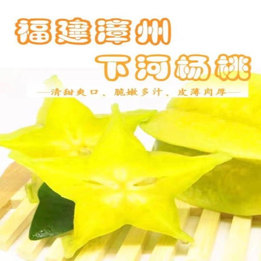 云霄县 热卖福建云霄特产杨桃5斤装