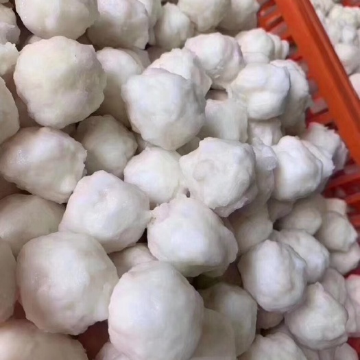 饶平县墨鱼丸 墨斗丸