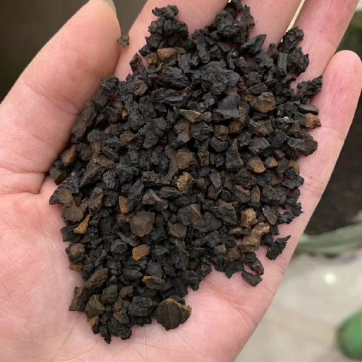 抚松县 桦树茸黑晶颗粒