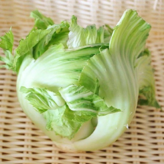 汕头 大菜雷 芥菜球菜心 自种环保无公害蔬菜 可带叶