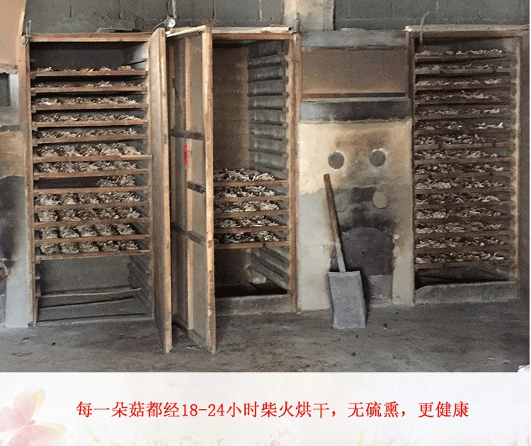 君志 江西广昌3号茶树菇干货批发 精品细条 新货 量大包邮