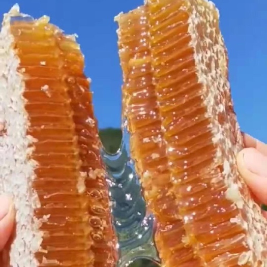 沈阳 蜂巢蜜