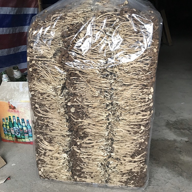 君志 江西广昌3号茶树菇干货批发 精品细条 新货 量大包邮