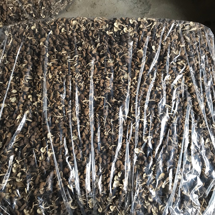 君志 江西广昌3号茶树菇干货批发 精品细条 新货 量大包邮