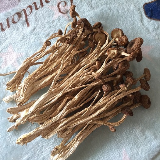 广昌县君志 江西广昌3号茶树菇干货批发 2020新货不开伞量大包邮