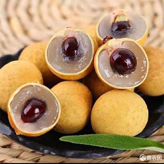 上林县 泰国新鲜龙眼5斤整箱包邮一件代发