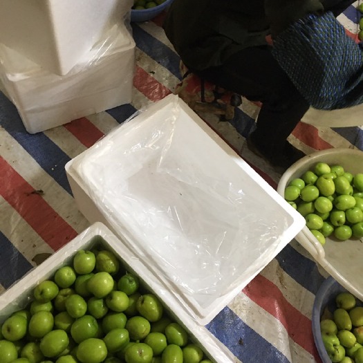 隆安县蜜枣 个大，水份促，甜度高