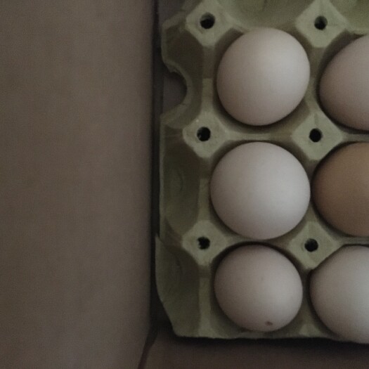 商水县粉蛋 食用 箱装