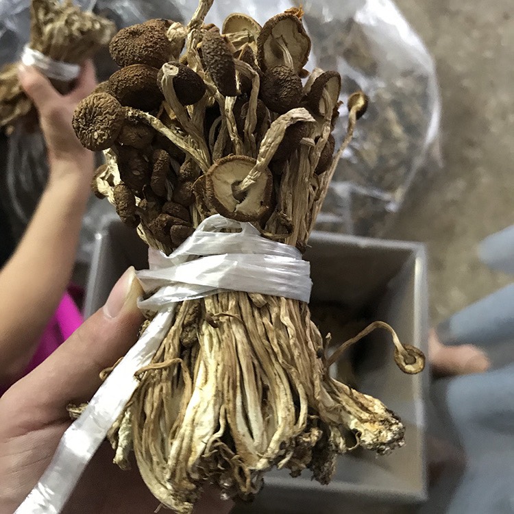 广昌3号茶树菇  君志 江西广昌茶树菇干货捆把 中间夹开伞