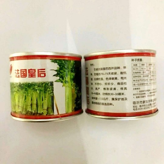 临沂法国皇后芹菜种子 法国皇后西芹