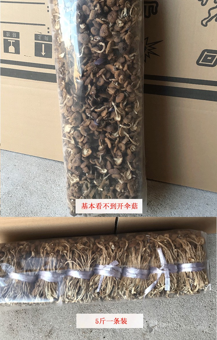 广昌3号茶树菇  君志 江西广昌茶树菇干货捆把 中间夹开伞