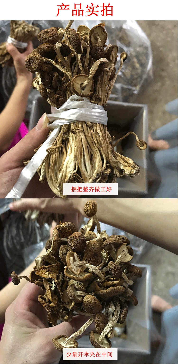 广昌3号茶树菇  君志 江西广昌茶树菇干货捆把 中间夹开伞