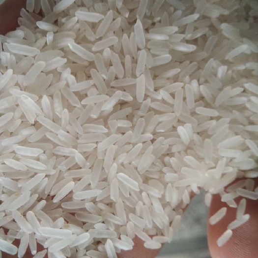 东莞市丰良优系列 厂家直销 餐饮专用 学校专用 工厂专用米