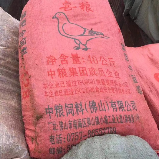 汕头有机肥料 风干鸽子粪、鸟粪