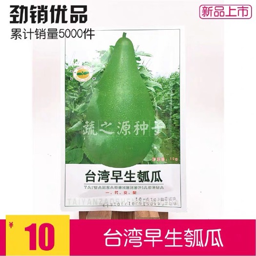 英德市 农家圆瓢菜葫芦种子圆瓢菜可做瓠瓜庭院种植种籽春季观赏蔬菜种孑