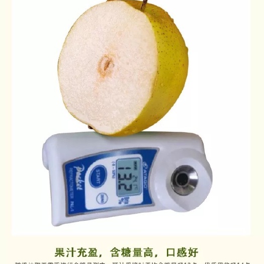 隰县香蕉梨 80mm以上 250-300g
