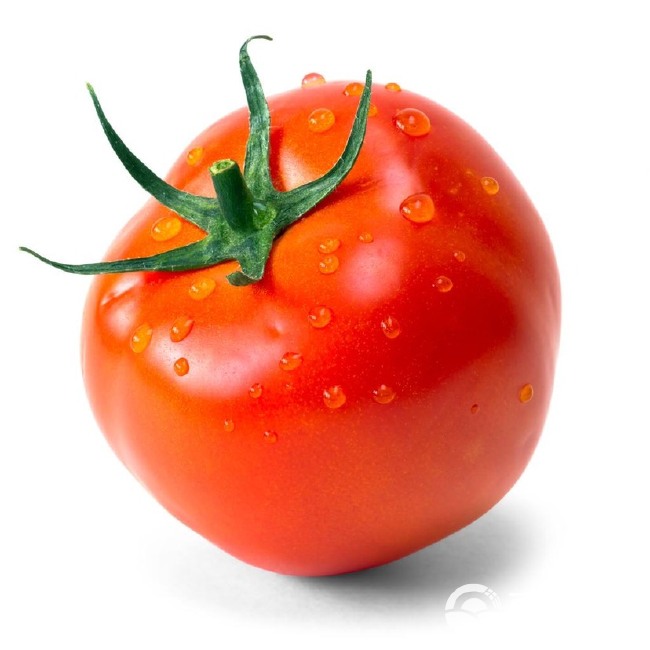  再定优惠 批发番茄西红柿，每天供应1000000斤。