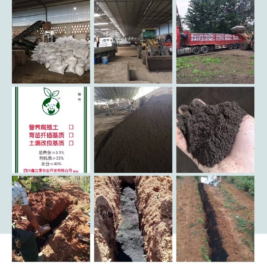 土壤改良肥 土壤改良基质，土壤修复改善板结平衡酸碱，有机基质。@鑫立里