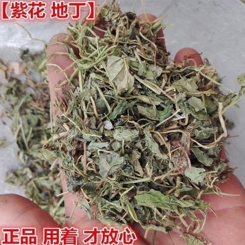 安国市紫花地丁  正品货！！！货！干净无杂！！干净无杂！品质保证！包邮！