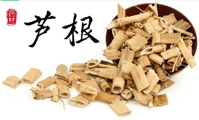 芦根 正品！干净无杂！无硫新货！芦苇根！实拍图！，包邮！