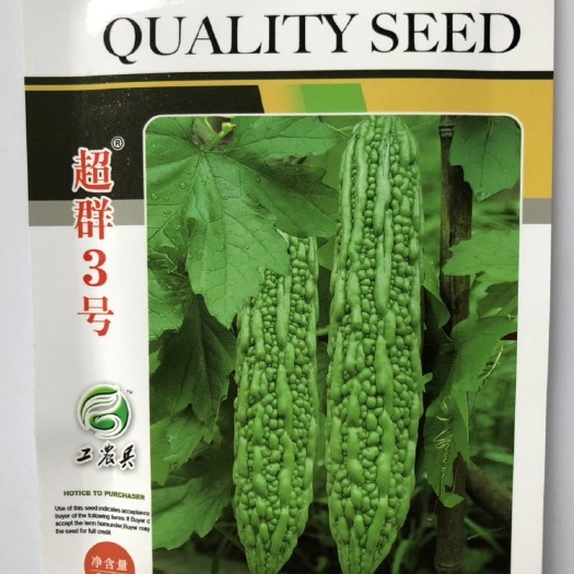 珍珠苦瓜种子超群3号较早熟丰产抗病耐热 翠绿 光洁度好