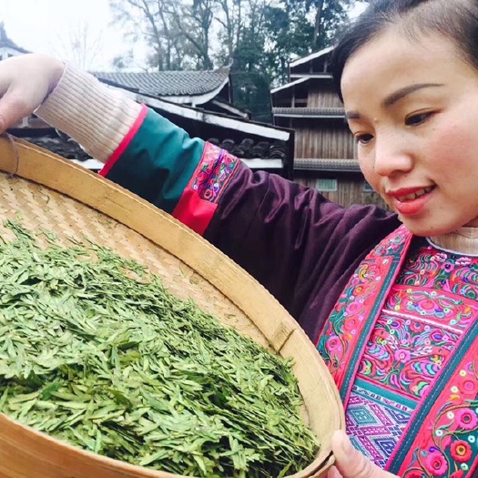 三江县 中国最早的春茶上市了，乌牛早扁茶味道非常好，欢迎咨询