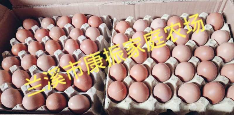 兰溪市红皮鸡蛋 兰溪市康振家庭农场直销优质蛋