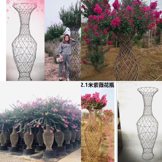 方城县 紫薇花瓶骨架模型供应。花瓶骨架。