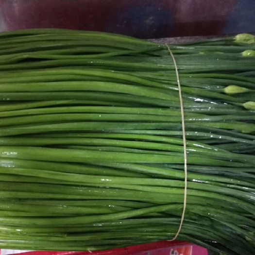 琼中县 韭菜花