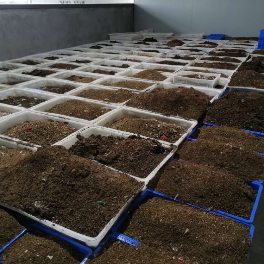 惠州 黑水牤虫粪（已发酵有机肥）400元/吨