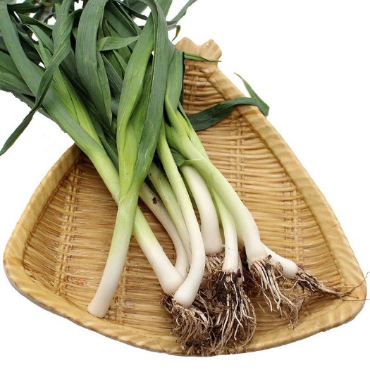 琼中县 蒜苗